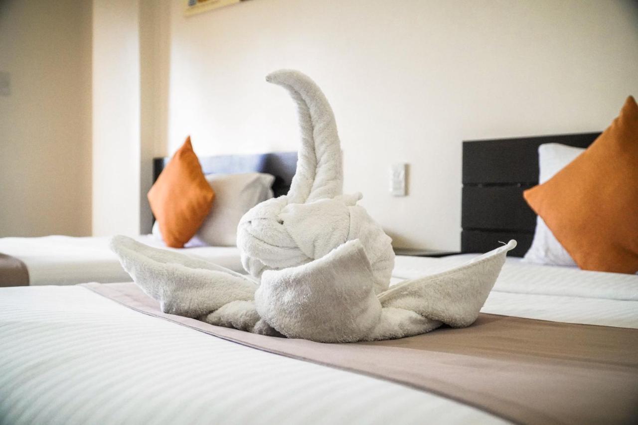 ナヴァッロ ホテル カティクラン（ナヴソト コーポレーション） カティックラン エクステリア 写真